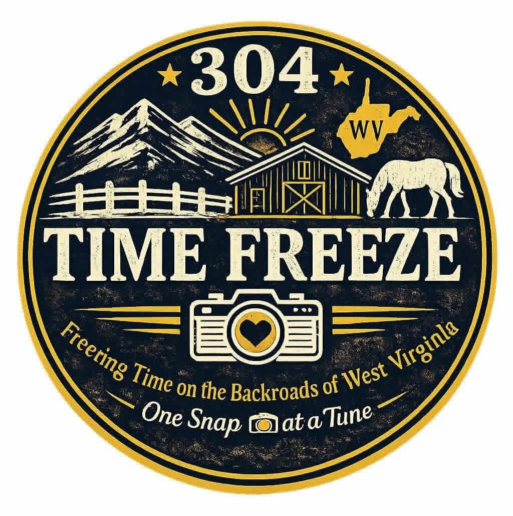 304 Time Freeze Logo